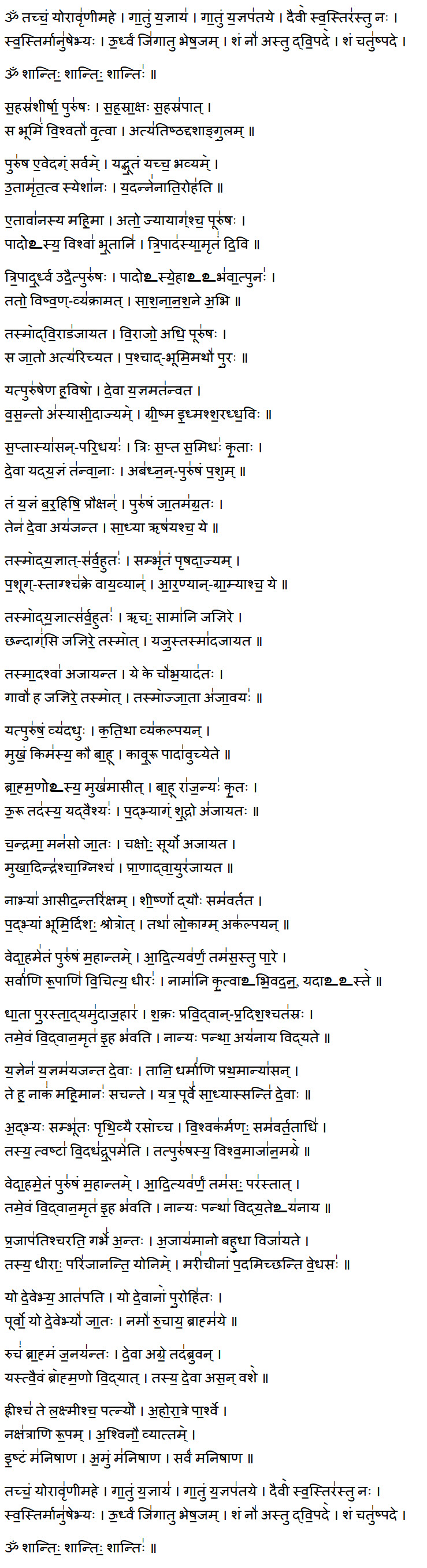 purusha suktam lyrics in sanskrit
